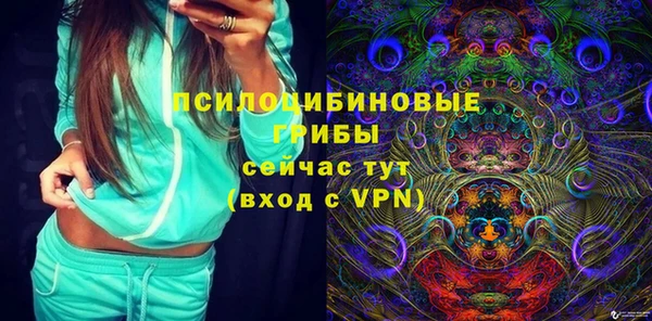 шишки Балахна