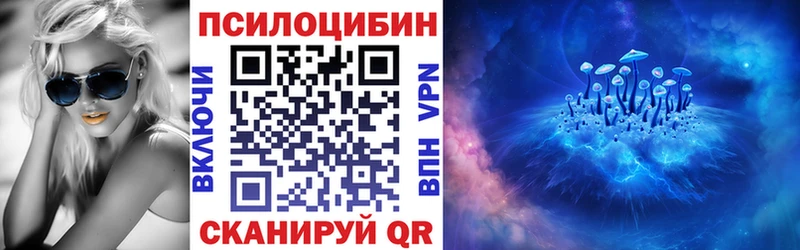 Псилоцибиновые грибы Psilocybe  Невельск 